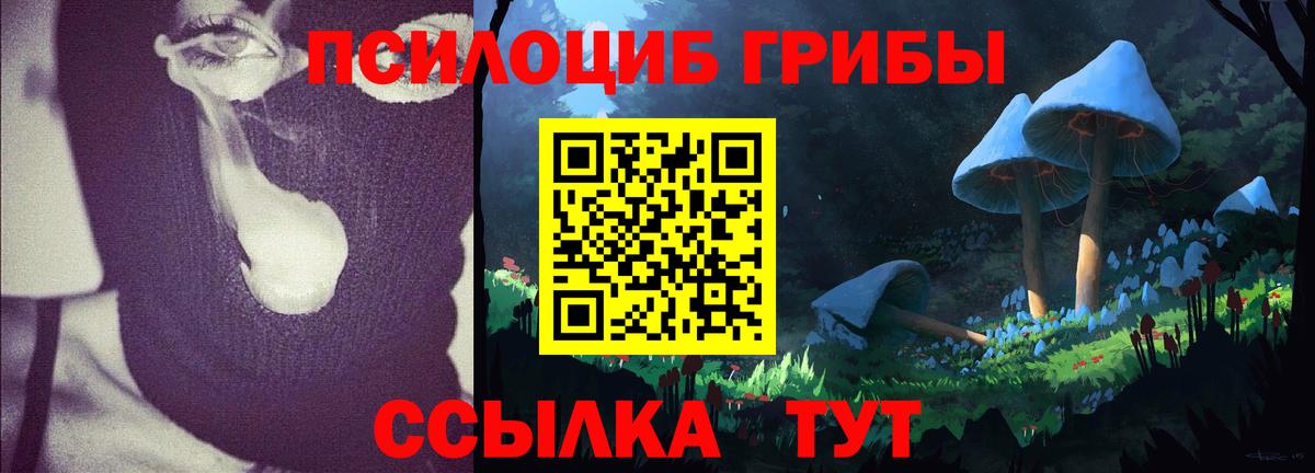 Верхняя Салда  Галлюциногенные грибы мухоморы  Вход с VPN 